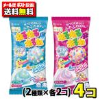 【メール便・ポスト投函】【送料無料】クラシエ　ねるねるねるね ソーダ2個・ぶどう2個（合計4個）