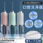 口腔洗浄器 usb充電式 電動 超音波 歯垢除去 ジェットウォッシャー 歯石取り 口腔ケア 携帯型 歯ブラシ ウォーターフロス 口内洗浄機 プレゼント