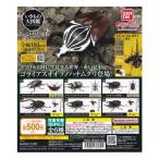 いきもの大図鑑 かぶとむし 03 全6種フルコンプセット バンダイ ガチャポン フィギュア 昆虫 BEETLE KABUTOMUSHI カブトムシ