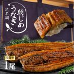 ショッピングうなぎ 朝じめ うなぎ 国産 蒲焼き 1尾 特選 鰻  母の日 父の日 お中元 内祝い プレゼント ギフト 60代 70代 80代