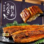 ショッピングお中元 朝じめ うなぎ 国産 蒲焼き 2尾 特選 鰻  母の日 父の日 お中元 内祝い プレゼント ギフト 60代 70代 80代