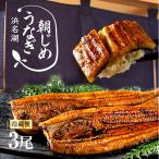 ショッピングうなぎ 朝じめ うなぎ 国産 蒲焼き 3尾 特選 鰻  母の日 父の日 お中元 内祝い プレゼント ギフト 60代 70代 80代