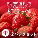  утро ........ средний 2 упаковка комплект (1 упаковка на 9~12 шарик ) Shizuoka префектура производство 