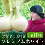 たまねぎ 白玉ねぎ 浜松篠原産【A級品L玉】【葉付新白玉ねぎ】プレミアムホワイト【10玉】 辛くない！芳醇な甘さとみずみずしさが魅力