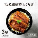 うなぎ 蒲焼き 国産 浜名湖産 特選浜名湖うなぎ蒲焼き3尾セット【送料無料】