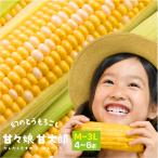 静岡県産とうもろこし 甘々娘 甘太郎(かんかんむすめ かんたろう)M〜3Lサイズ4〜6本入り 【ご家庭用】 期間数量限定【送料無料】