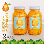 超濃厚!三ヶ日みかんシロップ漬け -燈(あかり)- 900g×2本 三ヶ日 みかん 青島 みかん 瓶詰め 母の日ギフト にも♪ 敬老の日 父の日 ギフト
