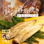 うなぎ 浜名湖産 朝じめうなぎ 溶岩焼き 白焼き 5尾 【冷蔵便】 父の日 母の日 ギフト