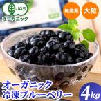 ショッピングオーガニック商品 オーガニック 冷凍ブルーベリー4kg(200g×20袋) 無農薬 有機JAS 大容量 お徳用 メガ盛り 大粒 デューク フルーツ 果物