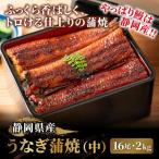 静岡県産うなぎ蒲焼(中) 2kgセット(16尾) うなぎ 鰻 ウナギ 国産 国内産 蒲焼き 丑の日 土用の丑 土用の丑の日 メガ盛り 業務用