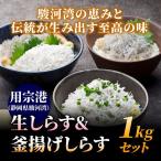 生しらす＆釜揚げしらす1kgセット シラス しらす 生シラス 釜揚げ 冷凍 用宗港 駿河湾 しらす丼 静岡産 グルメ 敬老の日 送料無料