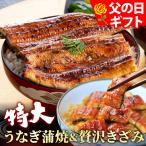 父の日ギフト 特大国産うなぎ長蒲焼1尾＆贅沢きざみ2パックセット うなぎ 鰻  ウナギ 食べ物 グルメ きざみうなぎ ひつまぶし 送料無料