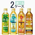 ショッピング特茶 特茶 伊右衛門 選べる２ケースセット サントリー 500ml ペット 24本入×2ケース