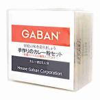 GABAN 手作りカレー粉セット ハウス