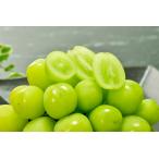  Shinshu средний . город производство автомобиль in мускат лед premium 300g~ ангел. драгоценнный камень коробка ~ перевод есть экономичный размер Mix товар 