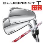 [ производитель custom ] булавка голубой принт T железный N.S.PROmo-das3 TOUR 105 вал PING BLUEPRINT T