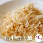  стружка сушеного тунца-бонито без добавок 20g x2 пакет ввод Kumamoto префектура небо . производство .. стружка сушеного тунца-бонито местного производства ... и . слива Кацуобуси кальций бесплатная доставка 