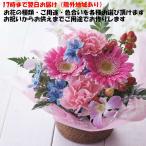 花 生花 お好きなお花をお選び下さい 生花 誕生日 お祝い お見舞 お悔やみ お盆 一周忌 命日 即日発送 花 生花 プレゼント 贈り物 ギフト 翌日配達 17時まで