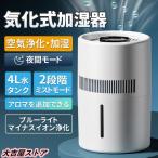 加湿器 気化式 4L 空気清浄 大容量 除菌 おしゃれ 上から給水 水漏れしない 2段階風量設定 お手入れ簡単 水量確認可能 省エネ 卓上 usb 2024