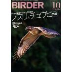 BIRDER(バーダー)2015年10月号 冬の猛禽ウォッチングの主役 ノスリとチュウヒ