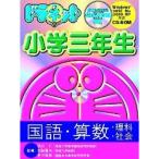  гонг сеть начальная школа 3 год сырой 