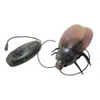  Kyosho EGG RC таракан TOYTOY