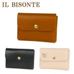 イルビゾンテ カードケース CARD CASE IL BISONTE 名刺入れ SCC032 PG0001