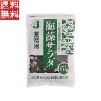  Japan специя водоросли салат JP3 100g для бизнеса ss