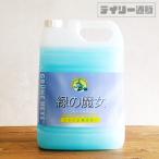 ショッピング緑の魔女 トイレ洗剤 緑の魔女 5L 詰め替え用 業務用サイズ パープル色 紫色 トイレ用洗剤 トイレ掃除 パイプクリーナー 便器 グリューネヘクセ ミマスクリーンケア