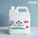 キレイキレイ 薬用 ハンドソープ 4L 詰め替え 液体 つめかえ用 風邪予防 手洗い石鹸 業務用洗剤 ビッグサイズ 大容量 ウイルス対策 手洗い ライオンハイジーン