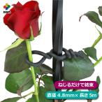 daim rose стиль роза для мягкость частота диаметр 4.8mm 5m роза шпалера роза ...... забор первый винил сборка фигурная скобка садоводство огород первый винил 