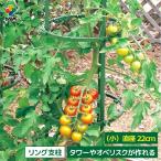 daim ダイムリング 小サイズ 直径22cm リング 朝顔 つる性植物 アサガオ 菜園 園芸 支柱 ガーデニング 家庭菜園 オベリスク タワー