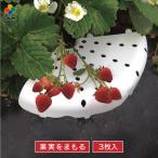 daim イチゴのまくら 3枚入 イチゴ 苺 いちご ワイルドストロベリー とよのか 四季なり 一季なり 栽培 グッズ サポート 家庭菜園 菜園 園芸 ガーデニング