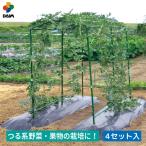 ショッピングスイカ daim 空中栽培 つる棚セット 4セット入 つる野菜 家庭菜園 支柱 キュウリ ゴーヤ エンドウ 小玉スイカ 小型カボチャ 園芸 用品