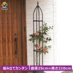 daim assembly simple rose obelisk diameter 25cm height 210cm obelisk rose rose obelisk gardening clematis .. rose large rose for obelisk 