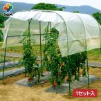 daim 家庭菜園用 雨よけセット ワイドタイプ 間口190cm トマト 雨よけ 小型 トマトの雨よけ セット 雨除け 雨除けセット 雨よけハウス 園芸 支柱 第一ビニール