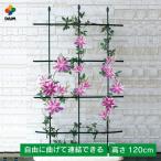 daim 自在型トレリス 幅60cm×高さ120cm つる性植物 薔薇 トレリス バラ ばら プランター ベランダ トレリス 園芸 組み立て不要