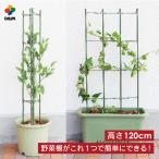 daim らくだな 高さ120cm 野菜棚 棚 トマト栽培 キュウリ ゴーヤ つる性植物 きゅうり棚 朝顔 支柱 アサガオ