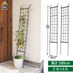 daim 組み立てかんたん立掛けトレリス 2セット入 幅30cm 高さ180cm diy 薔薇 トレリス バラ 立て掛け クレマチス 誘引 つる性 ばら プランター 第一ビニール