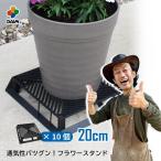 ショッピング鉢 【カーメン君×daim コラボ】daim ブラックベース 20cm  10個  フラワースタンド 鉢スタンド 鉢植え台 カーメン君 プランター  スタンド 根腐れ防止 通気 排水