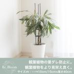 Re.Bloom кольцо поддержка все 2 стандарт декоративное растение модный лист dare предотвращение tower забор фигурная скобка садоводство садоводство огород DIY