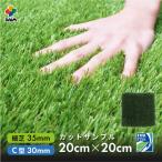 daim artificial lawn cut sample 20cm 20cm C type 30mm small lawn grass 35mm roll diy real artificial lawn mat lawn grass raw real dog Ran lawn grass raw mat artificial lawn raw artificial lawn roll 