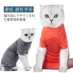 [ бесплатная доставка ] кошка для . после одежда уход одежда . после одежда защита одежда для домашних животных домашнее животное одежда кошка . после . после надеты . после одежда кошка одежда домашнее животное товары .. рука ... опухоль кожа болезнь ..