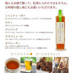 ジンジャーエール２本＋ 生姜シロップ１本セット うめぇ生姜エコパック１袋付き