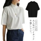 ハイネック tシャツ 半袖 タートルネック レディース Tシャツ カットソー 無地 送料無料 コットン ハイネックインナー 夏 カジュアル プルオーバ