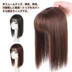通気性良い つけ毛 ポイントウィッ