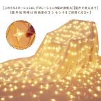 イルミネーションライト クリスマスイルミネーション LED 100球 星 ボール 雪 桜 オーナメント コンセント コンセント式 クリスマスツリー イ