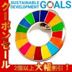 SDGs 国連ガイドライン対応  ピンバッジ バッチ バッヂ 17の目標 (丸型)