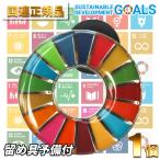 SDGs バッジ 国連 本部限定 本物 正規品 17の目標 ピンバッジ バッチ バッヂ 丸 丸型