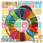 SDGs ピンバッジ バッジ 国連 本物 本部限定 正規品 17の目標 日本未発売 (丸型)　5個